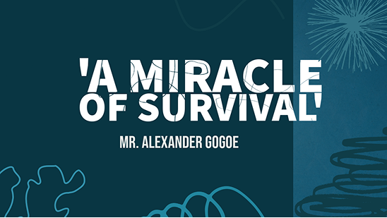 A Miracle Of Survival